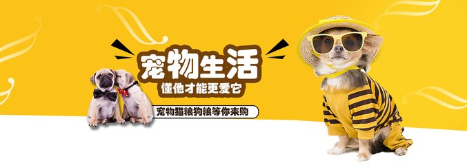 免费资料正版资料大全